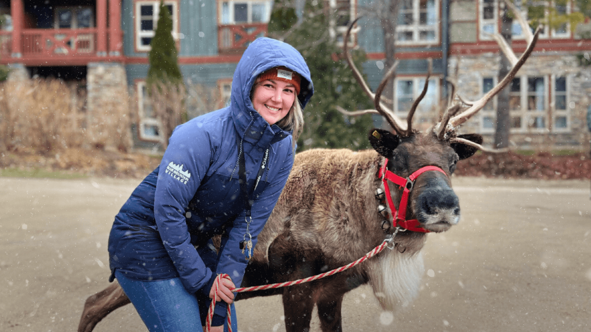 Smiling Village staff member walking a live reindeer through the events plaza.